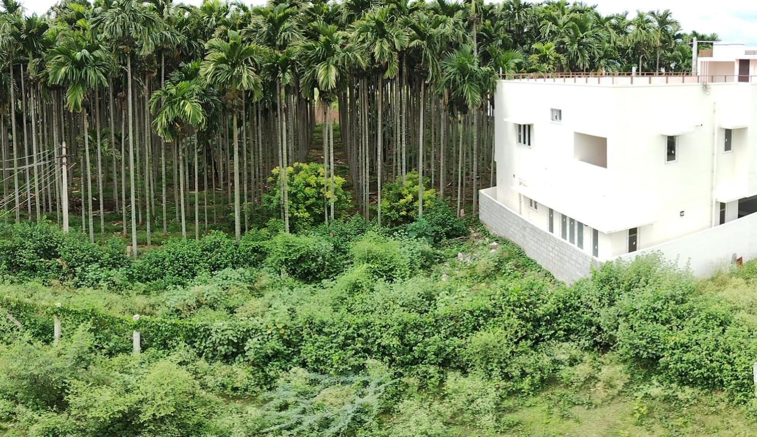 A Chettinad Villa In Coimbatore On The Way To Adiyogi And Nearer To Maruthamalai Buitenkant foto